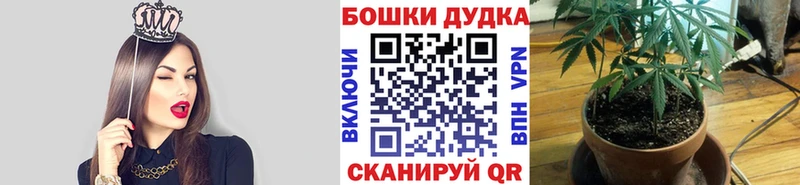 shop какой сайт  даркнет сайт  Нязепетровск  Марихуана VHQ  hydra ССЫЛКА 